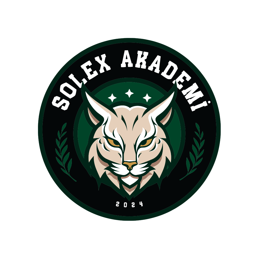 Solex Akademi